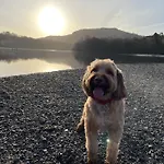 Marys Cottage, Grasmere, Dog Friendly, Hot Tub Casa de Campo *