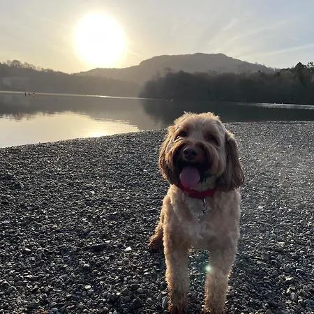 Marys Cottage, Grasmere, Dog Friendly, Hot Tub Landhaus *