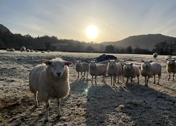 Marys Cottage, Grasmere, Dog Friendly, Hot Tub Country house Grasmere