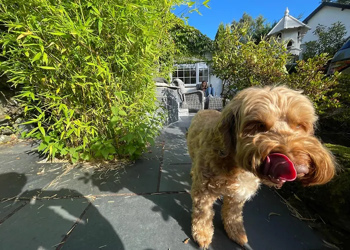 Marys Cottage, Grasmere, Dog Friendly, Hot Tub Country house *